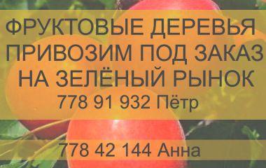 Успейте посадить своё дерево!