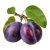 Слива