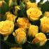 Роза Еллоу Бейби